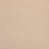 Consul_ROSE WHITE