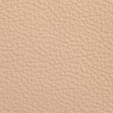 Consul_DUNE