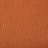 TERRA effect 120