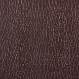 TERRA effect 221